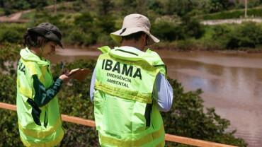 Concurso do Ibama tem 460 vagas e salários de até R$ 11 mil; veja oportunidades